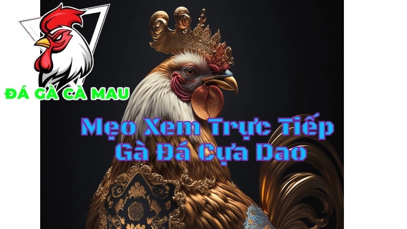 Mẹo Xem Trực Tiếp Gà Đá Cựa Dao Hiệu Quả Tại Cà Mau