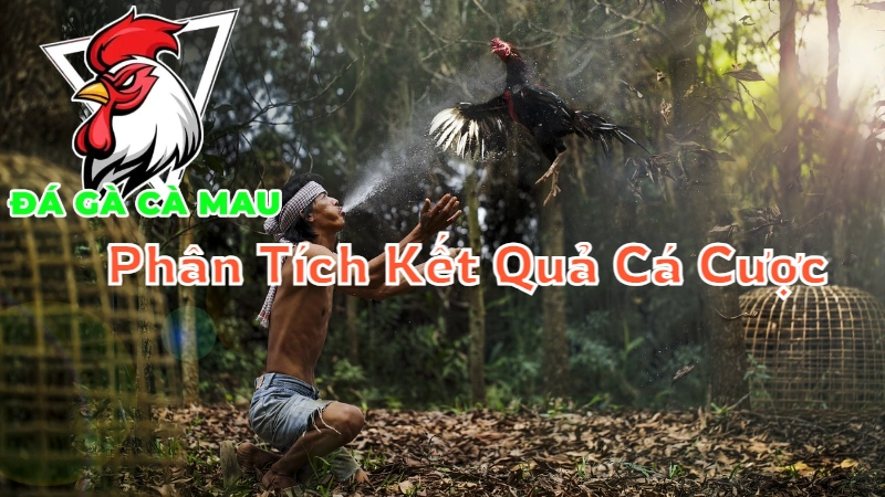 Phân Tích Kết Quả Cá Cược Để Nâng Cao Tỷ Lệ Thắng