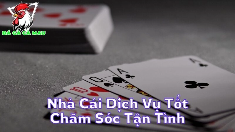 Nhà Cái Dịch Vụ Tốt Và Chăm Sóc Tận Tình